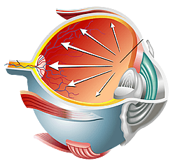 Eye Associates Glaucoma