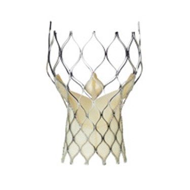 medtronic-tavr-valve-image